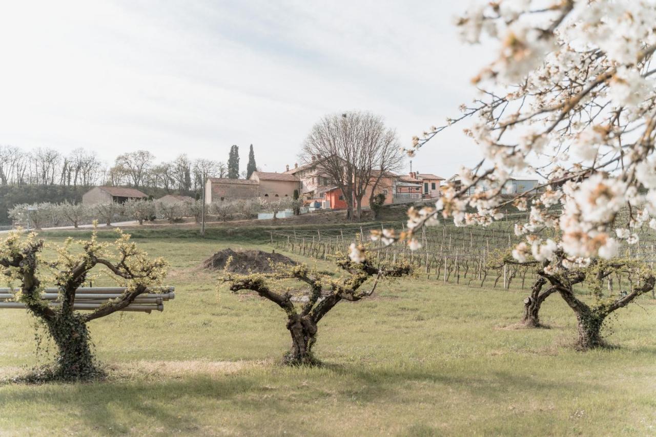 Bauernhof Agriturismo San Francesco
